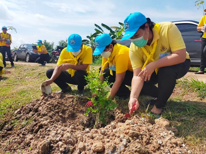  สำนักงานบังคับคดีจังหวัดทั่วประเทศ จัดกิจกรรมปลูกต้นไม้ประจำปีของชาติ